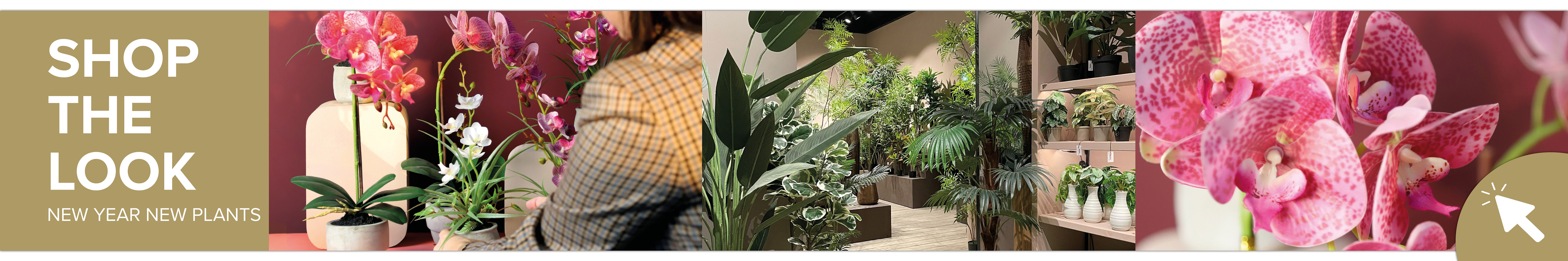 SHOP THE LOOK - PLANTEN